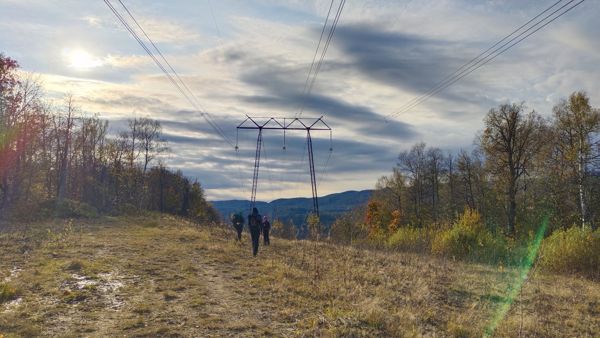 Фото участника