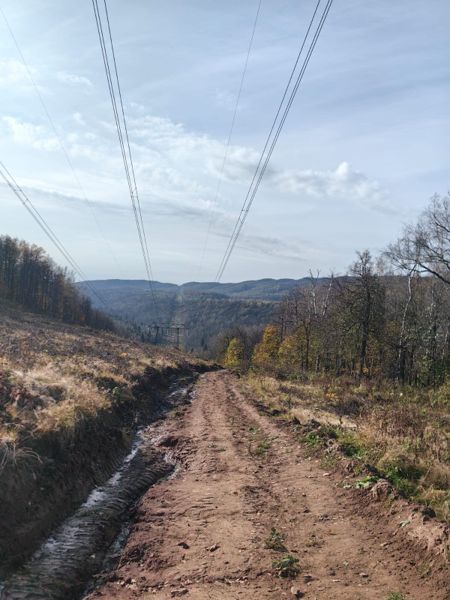 Фото участника