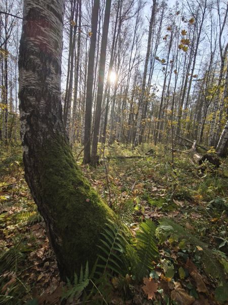 Фото участника