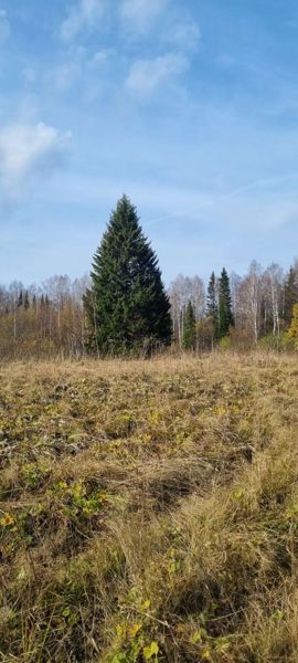 Фото участника