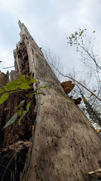 Фото участника