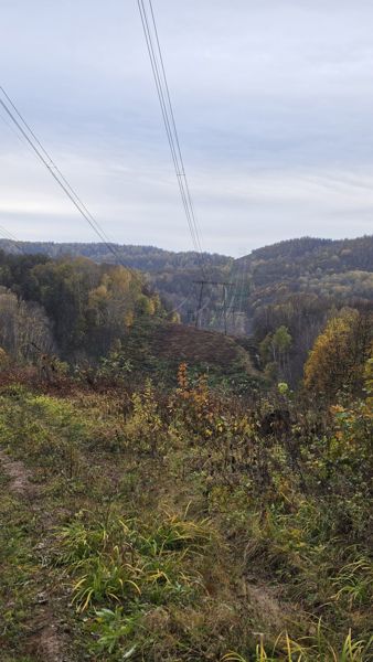 Фото участника