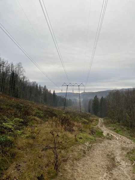 Фото участника