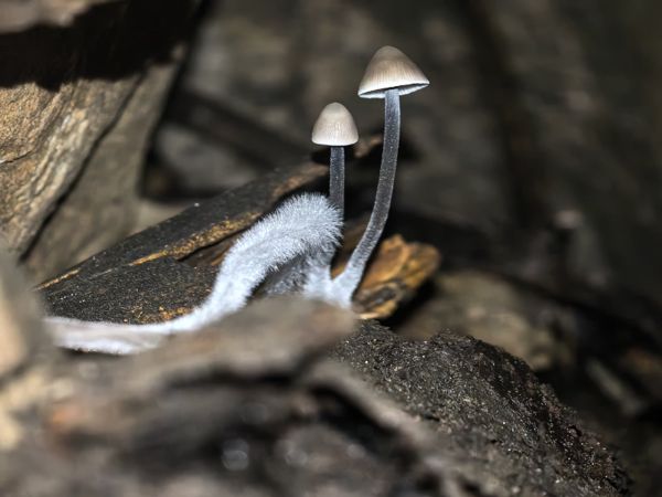 Фото участника
