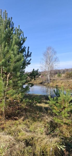 Фото участника