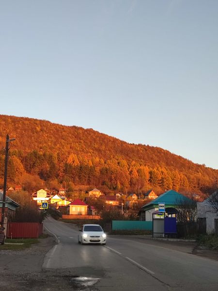 Ашинский лес в лучах солнца. 