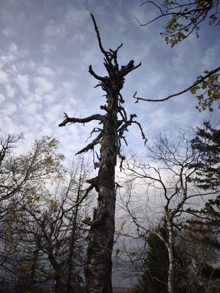 Фото участника