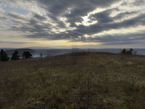 Фото участника